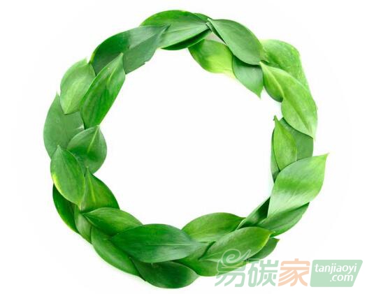 綠色經(jīng)濟(jì)、循環(huán)經(jīng)濟(jì)、低碳經(jīng)濟(jì)，三者之間究竟是什么關(guān)系？