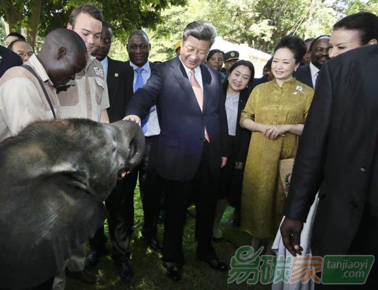 2015年12月2日，國家主席習(xí)近平在津巴布韋考察野生動物救助基地。新華社記者蘭紅光攝